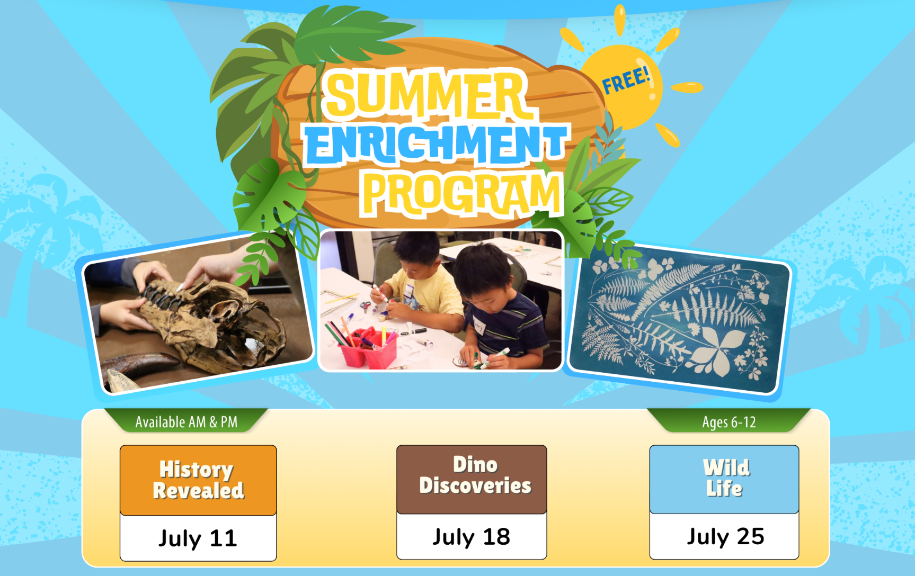 Buzz Summer 2026 .50 - Copy - Copy - Copy